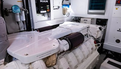 Chinonino For Sale image76