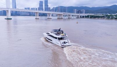 Dragon For Sale image5