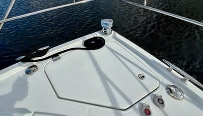 Tropical Dreamer For Sale image39