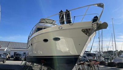 PISCO SOUR For Sale image12