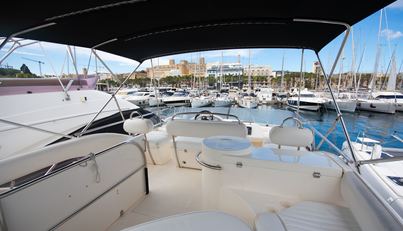 SCARLET For Sale image7