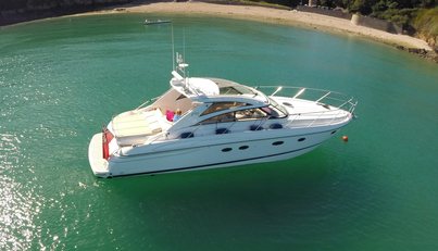 noname For Sale image1