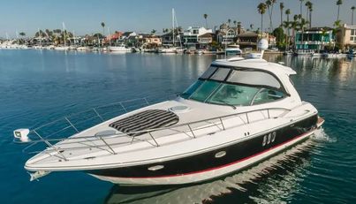 Eurybia For Sale image15