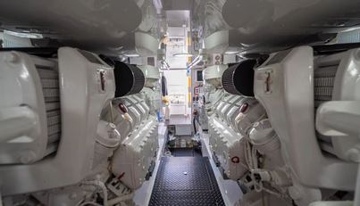 DONE DIGGIN For Sale image68