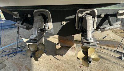 Satisfaction For Sale image41