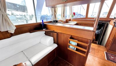 Tortuga Azul For Sale image34