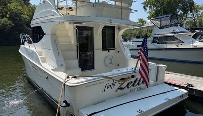 Lady Zette For Sale image4