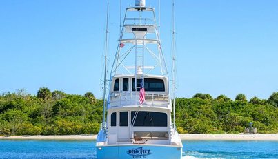 ON ICE For Sale image6