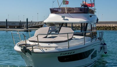 TIPSEA For Sale image2