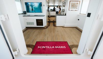 Scintilla Maris For Sale image30