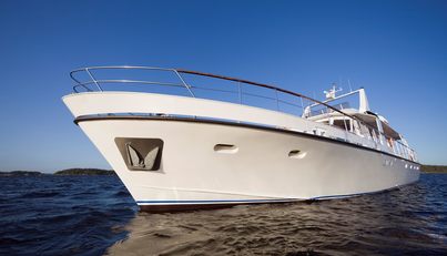 STELLA NOVA For Sale image7