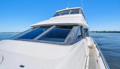 Octopi For Sale image176