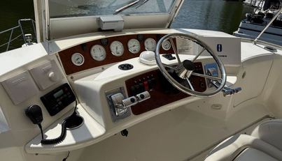 Lady Zette For Sale image13