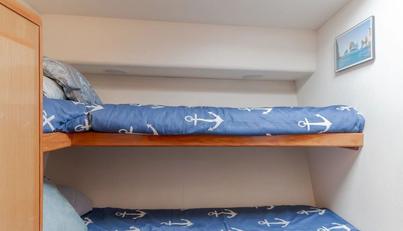 Triumph For Sale image129