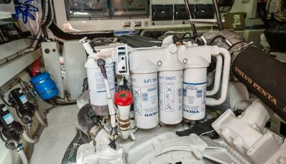 MISS SIP For Sale image65