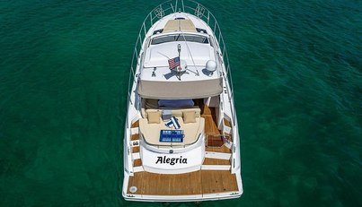 Alegria For Sale image9