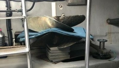 noname For Sale image42