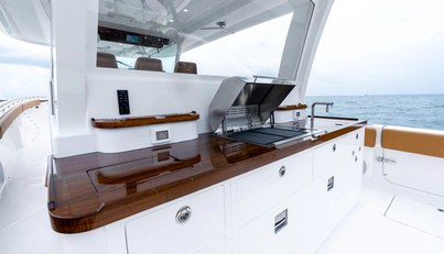 DEALER DEMO For Sale image16