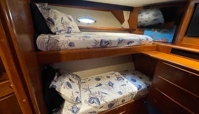 Nauti For Sale image41