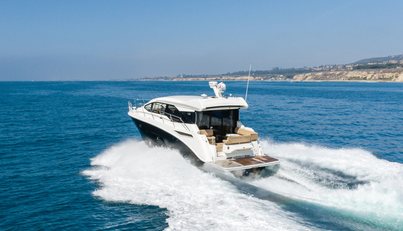 Saw Sea IIII For Sale image7