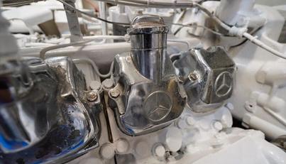 Octopi For Sale image42