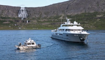 Compass Rose For Sale image6