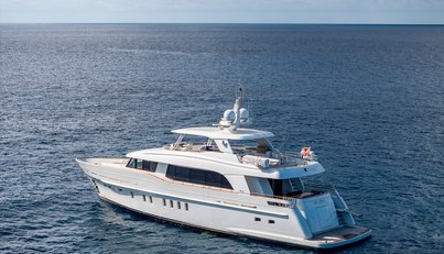 Firefly For Sale image9