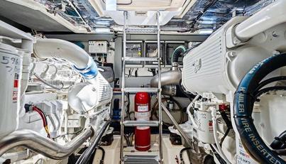 noname For Sale image45