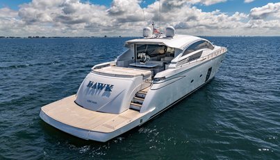 HAWK For Sale image18