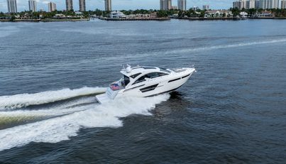 Tropical Dreamer For Sale image9