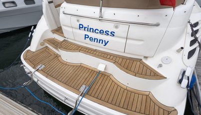Princess Penny For Sale image17