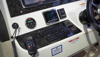 Baby Pie For Sale image25