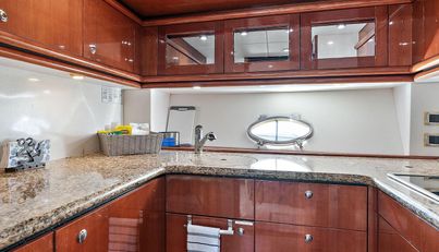 Blue Steel For Sale image16
