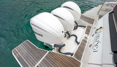 Lunasea For Sale image39