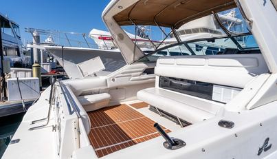 Sea Oddity For Sale image8