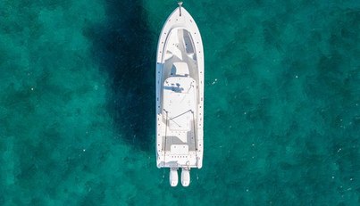 noname For Sale image31