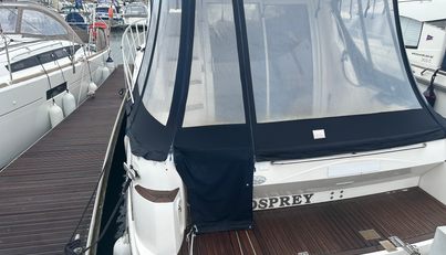 Osprey For Sale image4