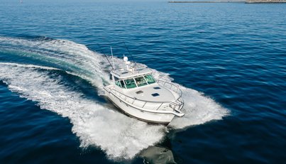 Bluefin For Sale image11