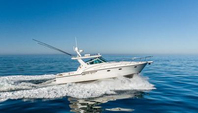 Bluefin For Sale image10