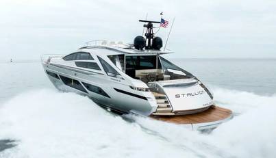 STALLION For Sale image2