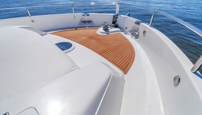 Octopi For Sale image85