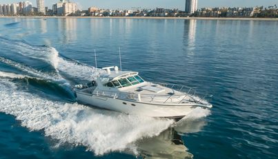 MISS MICHELLE For Sale image14
