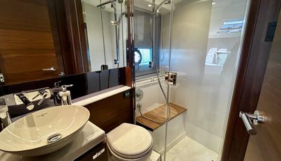 Dancing Princess For Sale image29