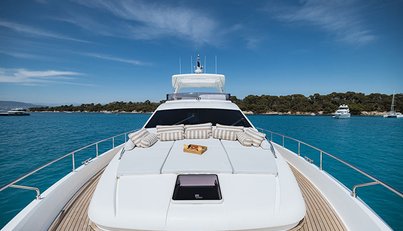 ONYX For Sale image16