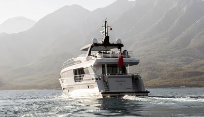 PAPILLON For Sale image30