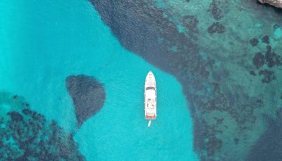 noname For Sale image6