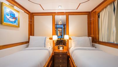 Stella Fiera For Sale image50