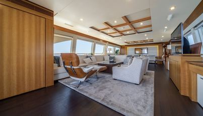 ARION For Sale image9