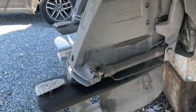 SEAHORSE For Sale image39