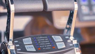 MishMish For Sale image27